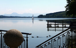 Lake Waginger near Waging, Rupertiwinkel, Chiemgau, Upper Bavaria, Bavaria, Germany