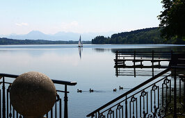 Waginger See bei Waging, Rupertiwinkel, Oberbayern, Bayern, Deutschland