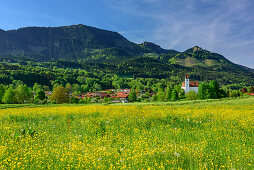 Meadow with flowers in front of Grainbach with Hochries, Karkopf and Feuchteck, Grainbach, Samerberg, Chiemgau Alps, Upper Bavaria, Bavaria, Germany