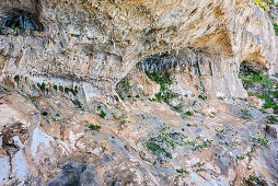 Frau wandert am Selvaggio Blu durch riesige Halbhöhle, Selvaggio Blu, Nationalpark Golfo di Orosei e del Gennargentu, Sardinien, Italien