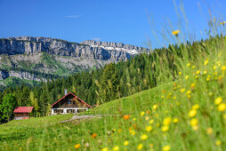 Meadow with flowers in front of alpine hut, Gottesackerwaende in background, from Besler, valley of Balderschwang, Allgaeu Alps, Allgaeu, Svabia, Bavaria, Germany