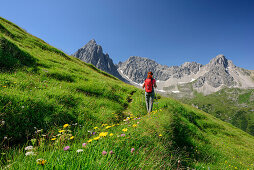Frau wandert durch Blumenwiese auf Dremelspitze, Schneekarlespitze und Parzinnspitze zu, Lechtaler Alpen, Tirol, Österreich
