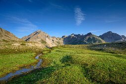 Wiese mit Vorderseespitze, Feuerspitze und Fallenbacherspitze im Hintergrund, Lechtaler Alpen, Tirol, Österreich