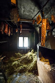 smokehouse, Black Forest Ham, Untermühlbachhof, St.Georgen-Peterzell, Black Forest, Baden-Württemberg, Germany