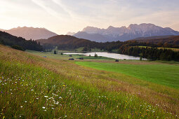 Blumenwiese am Geroldsee, Blick auf Soierngruppe und Karwendel, Werdenfelser Land, Bayern, Deutschland