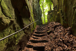 Teufelsschlucht, Naturpark Südeifel, Eifel, Rheinland-Pfalz, Deutschland