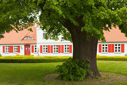 House at Born am Darss, Baltic Sea, Mecklenburg-West Pomerania, Germany