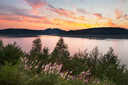 Biggesee, near Attendorn, Rothaargebirge, Sauerland region, North Rhine-Westphalia, Germany