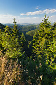 View from Teufelskanzel at Schneekopf hill, nature park Thueringer Wald,  Thuringia, Germany