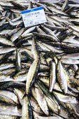 Sardines on fish market, Algarve, Portugal