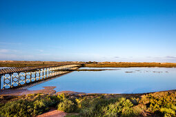 Brücke über Lagune, Quinta do Largo, Naturpark Ria Formosa, Algarve, Portugal