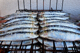 Sardines on a grill rack, Algarve, Portugal