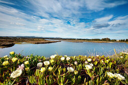 Lagoon, Parque Natural da Ria Formosa near Faro, Algarve, Portugal