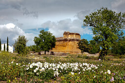 Flowers in roman ruins, archaeological park, Milreu, Algarve, Portugal