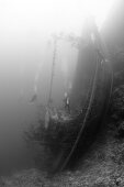 Upright Tuna Boat Wrack, Marovo Lagune, Salomonen