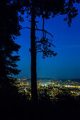 Zürich in der Nacht, Ausblick vom Uetliberg, Zürich, Schweiz