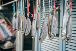 small fishes hanging for drying in front of house at fishing village Tai O, Lantau Island, Hongkong, China, Asia