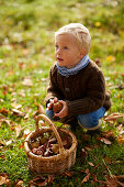 Junge, 5 Jahre, sammelt Kastanien, Uffing, Staffelsee, Oberbayern, Bayern, Deutschland