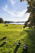 view to the Outer Alster and the skyline of Hamburg, Hamburg, north Germany, Germany