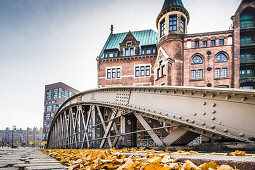 Herbststimmung in der Hamburger Hafencity und Speicherstadt, Hamburg, Norddeutschland Deutschland