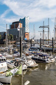 view over the Sport harbour to the Elbphilharmonie, Hafencity of Hamburg, north Germany, Germany