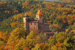 Herbstlaubfaerbung im Pfaelzer Wald, bei Nothweiler, Naturpark Pfaelzer Wald, Rheinland-Pfalz, Deutschland
