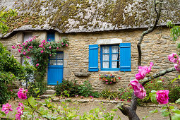 Thatched house with blue door and windows, museum village Kerhinet, nature park Brière, Bretagne, France, Europe