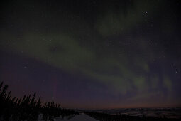 Polarlichter Aurora borealis an der Eagle Plains Lodge am Dempster Highway, Yukon, Yukon-Territorium, Kanada