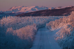 Morgenlicht über schneebedeckter Landschaft am Dalton Highway, Yukon-Koyukuk Census Area, Alaska, USA