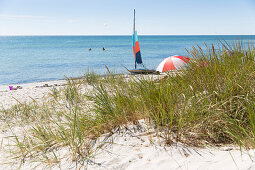 Windsurfing, board, dream beach between Strandmarken und Dueodde, Sandy beach, Summer, Baltic sea, Bornholm, Strandmarken, Denmark, Europe