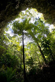 Die Grotte de la Reine Hortense auf der Ile des Pines, Neukaledonien