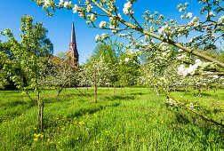 Die Kirche St. Gertrud in Hamburg-Altenwerder ist der letzte Rest des ehemaligen Fischerdorfes, das der Hafenerweiterung weichen musste, Hamburg, Deutschland