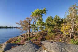 Shore of Lake Vänern, Peninsula Kallandsö, Västergötland, Götaland, South Sweden, Sweden, Scandinavia, Northern Europe, Europe