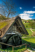 ancient mill, Sasbachwalden, Ortenau, Black Forest, Baden-Wuerttemberg, Germany