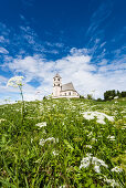 Eine Almwiese mit Schafgarbe vor der St. Wolfgang Kirche, Radein, Südtirol, Alto Adige, Italien