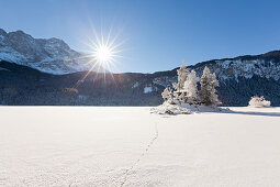 Little island with trees at the frozen Eibsee, view to the Zugspitze, near Grainau, Bavaria, Germany