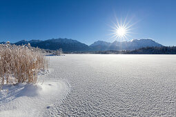 Winterlandschaft am Barmsee, Blick auf Soierngruppe und zum Karwendel, Bayern, Deutschland