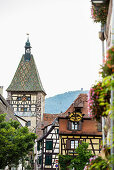 Bergheim, Alsace, France