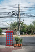 rote Telefonzelle neben Blumentöpfen und Strommast mit sehr vielen Kabeln, Ayuttaya, Thailand, Südost Asien
