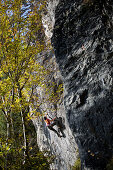 Young man climbing at a rock face, Schwaerzer Wand, Bavaria, Germany