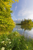 Almsee, Zwölferkogel, Totes Gebirge, Oberösterreich, Österreich