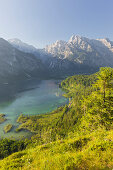 Blick vom Ameisstein über den Almsee, Zwölferkogel, Totes Gebirge, Oberösterreich, Österreich