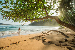 Young female surfer walking along the beach, Sao Tome, Sao Tome and Principe, Africa