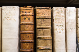 shelves of old leather-bound books, Herzog August  Library, Wolfenbüttel, Lower Saxony, Germany