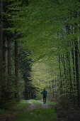 Junger Mann läuft auf einem Weg durch einen Wald, Allgäu, Bayern, Deutschland