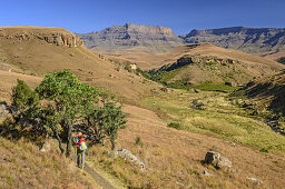 Frau beim Wandern mit Bushman's River, Giant's Castle und Longwall im Hintergrund, Giant's Castle, Drakensberge, uKhahlamba-Drakensberg Park, UNESCO Welterbe Maloti-Drakensberg-Park, KwaZulu-Natal, Südafrika