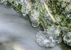 Ice at stream, Nock Mountains, Biosphaerenpark Nockberge, Carinthia, Austria