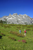 Woman and man hiking on meadow with alpine roses in blossom in front of Drei Tuerme and Drusenfluh, Raetikon, Vorarlberg, Austria
