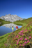 Frau und Mann wandern an Bergsee, blühende Alpenrosen im Vordergrund, Drei Türme und Drusenfluh im Hintergrund, Rätikon, Vorarlberg, Österreich