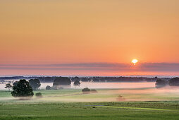 Sonnenaufgang über Feilnbacher Moor mit Nebel, Bad Feilnbach, Oberbayern, Bayern, Deutschland